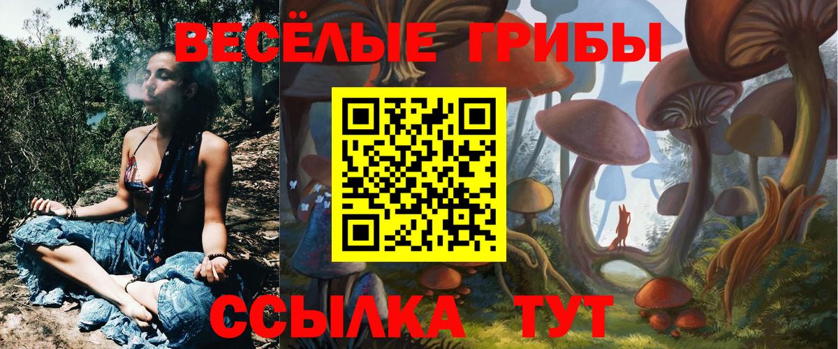 Галлюциногенные грибы Cubensis Биробиджан