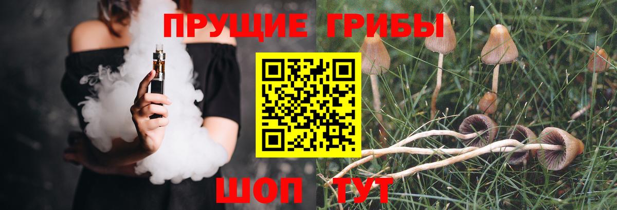 Псилоцибиновые грибы прущие грибы  Вход с VPN  Галлюциногенные грибы ЛСД  Биробиджан 
